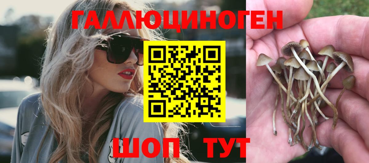 Псилоцибиновые грибы мухоморы Шахты