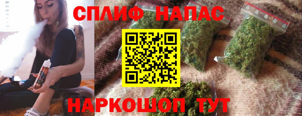 Шишки марихуана семена Шахты